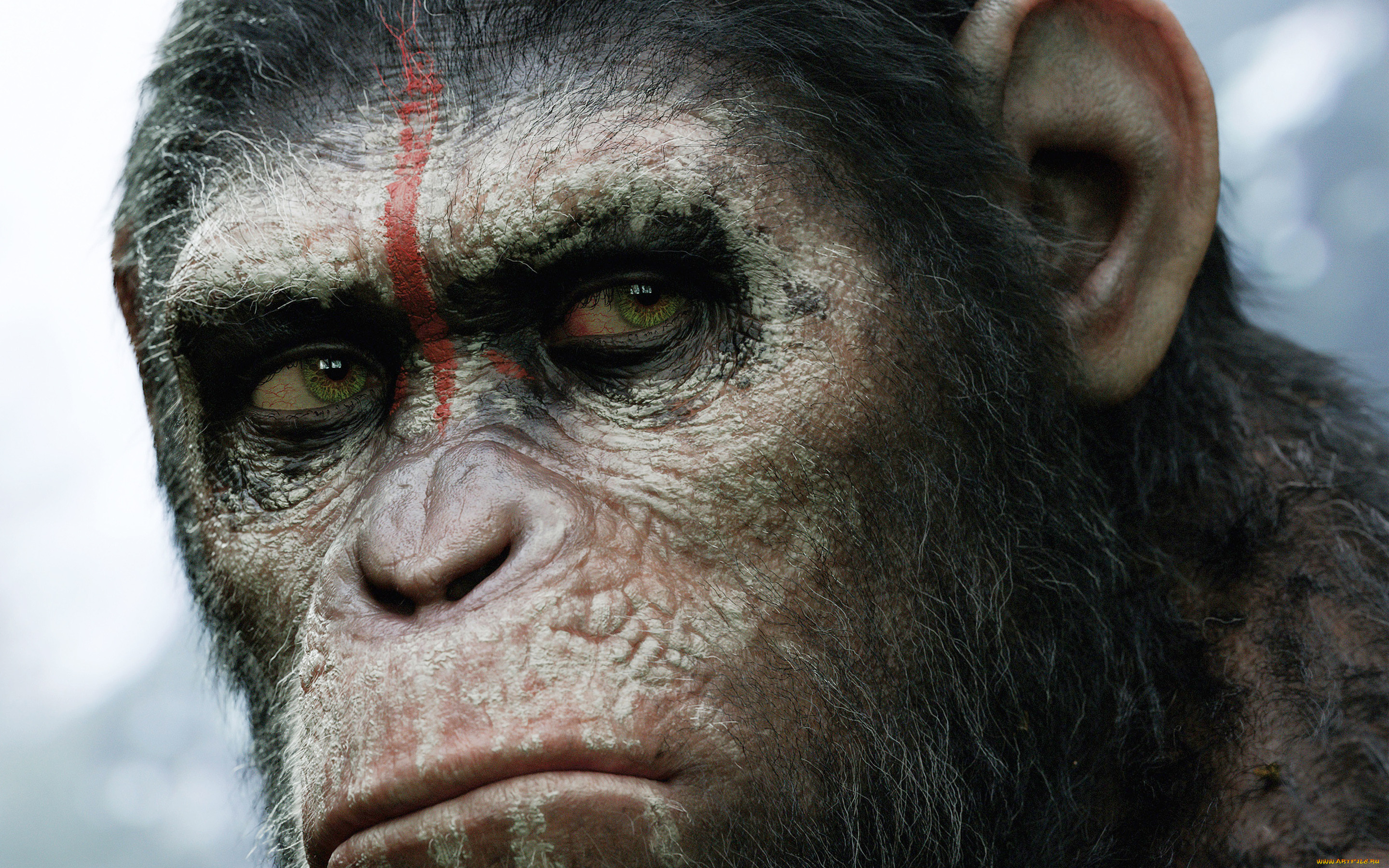 dawn of the planet of the apes,  , , , 